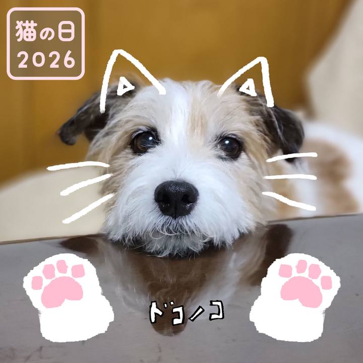 F037ddf9 96f2 4794 b996 8a9696ec4b22 1771726182325