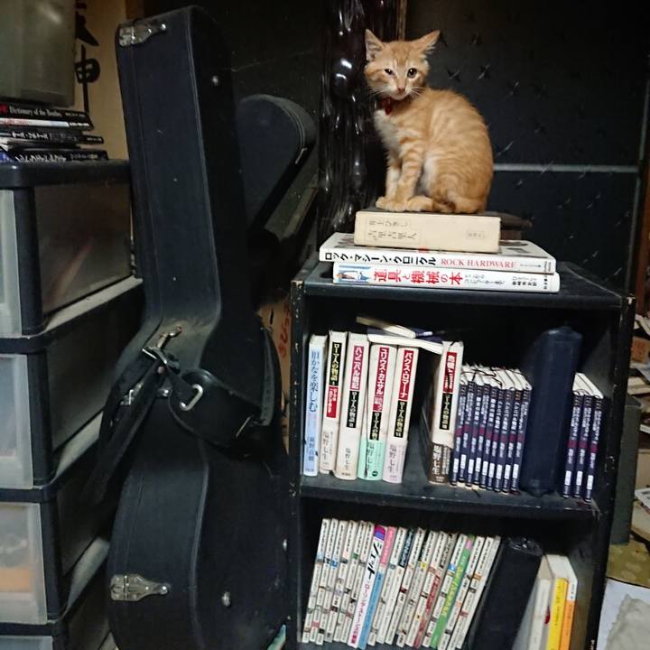 F03831a9 94f3 4e25 903e 43c370eccc41 1629808255217