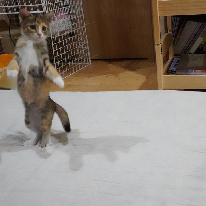 F0387261 dda4 4790 a44f 6a48590b2cee 1568209278510