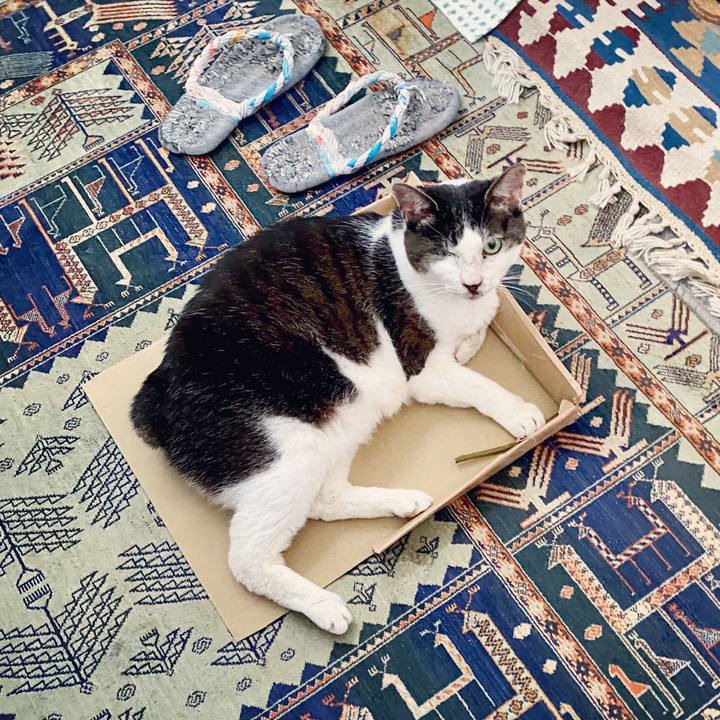 F038c50f 4250 4d0e ba6c 7a2fbf503148 1593683762761