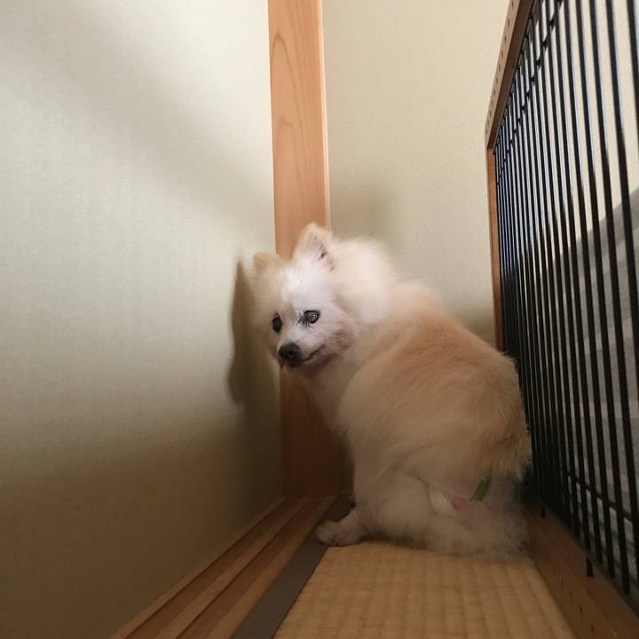 F0390cc5 5463 4ba1 8625 3d5f82594945 1547217682698