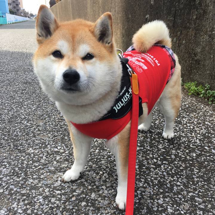 F0391305 c84f 4619 a19e cf166f10c209 1582349093043