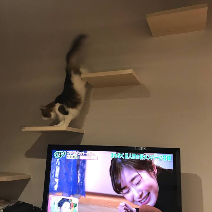 F0393676 3098 4ccf 832a 1dbf0d29aab4 1579175090090