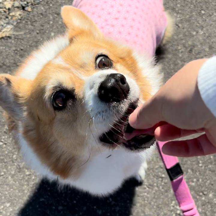 F0395ecb 0e48 470c b775 e88a9e301c85 1740111067461