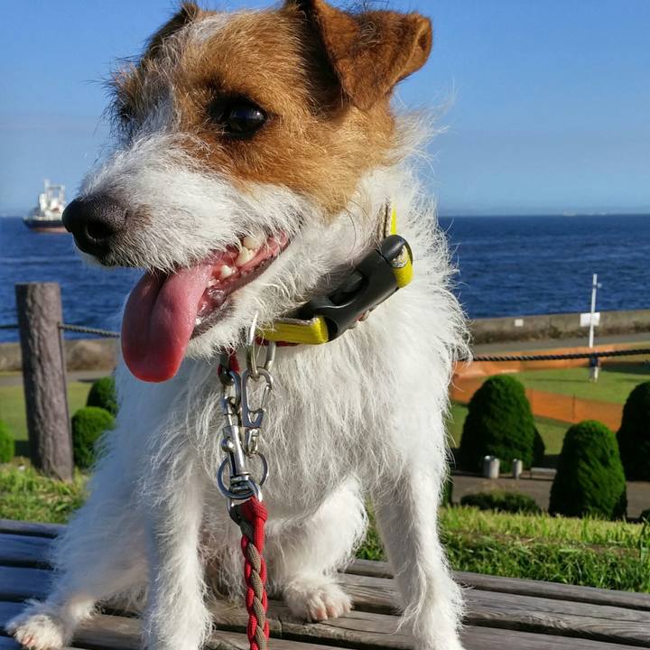 F03961bf 0cff 4af4 afda b33efbb67326 1538990957398