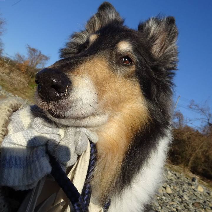 F0397950 e15b 44c9 b693 29739e48ba2f 1579703485146