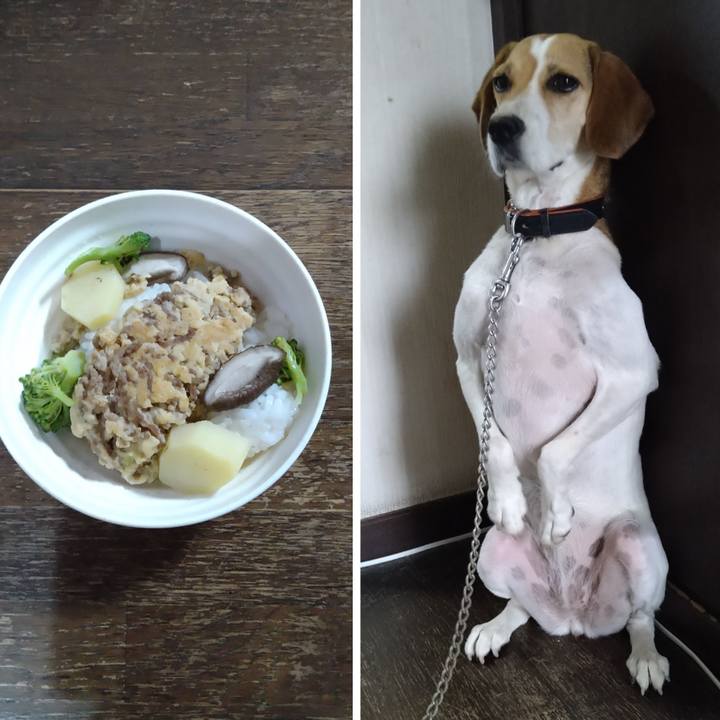 F039a58f 1cfe 4d2e 9521 85912ce68e86 1628755185083