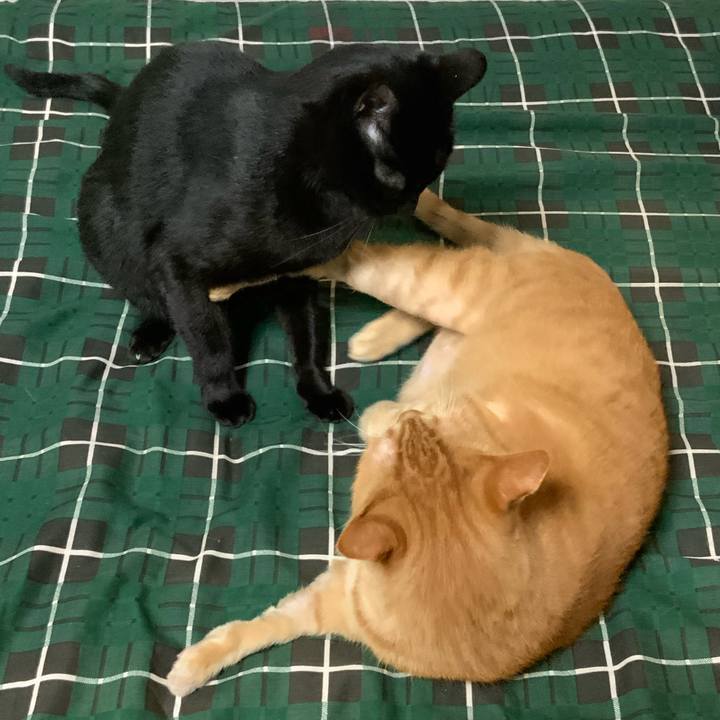 F039c0af 16d4 465e a87b 1c5156b0b470 1695124449409