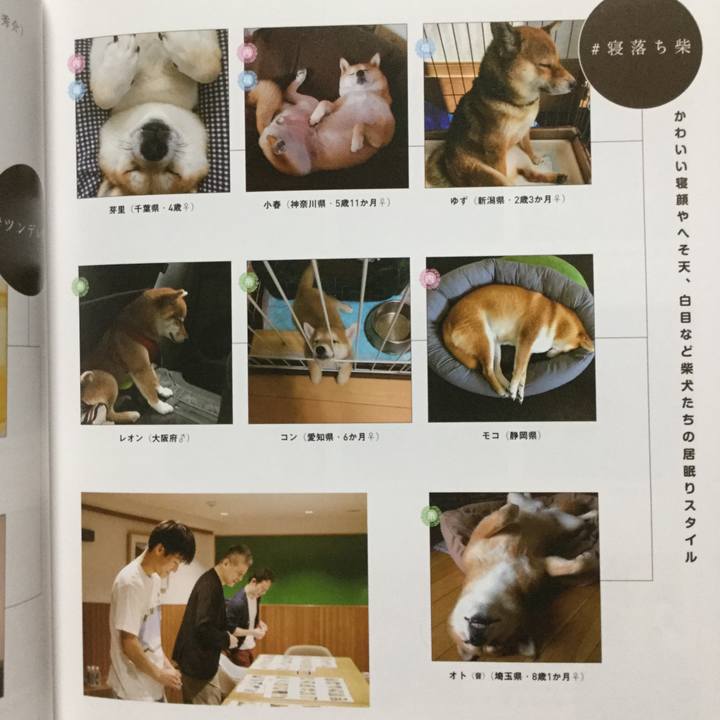 F039cf85 38c8 428e b196 2ec8f74f8f79 1545985848554