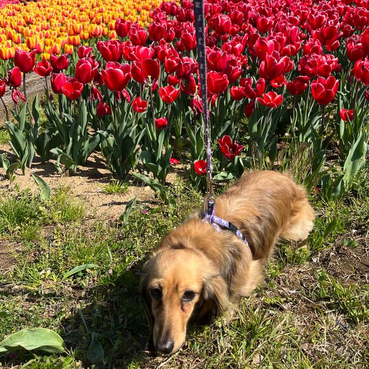 F039db17 87b1 4123 bc58 b250eb376cc5 1680358610788