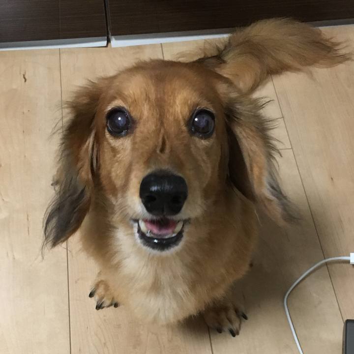 F039f6a0 9ff4 4313 a6f6 b0217cc2ab50 1538058958041