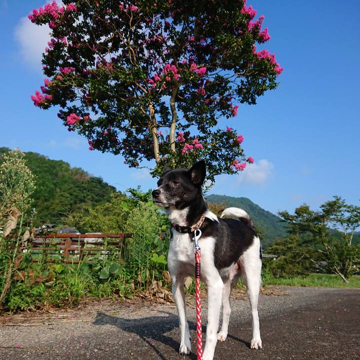 F03a0284 65ab 4f74 bee8 1b03e3c67b6e 1630291245357