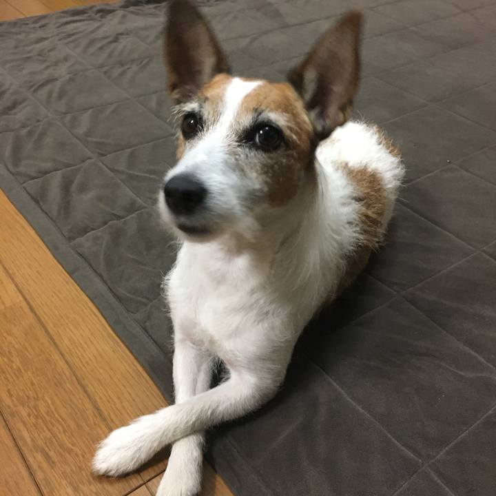 F03a25bd 2bc4 406e 9823 8d14d5616e3d 1572906846708