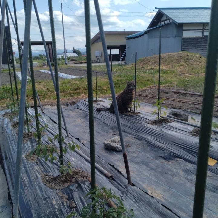 F03abfa8 55f8 445f bbd4 26714928ee8d 1715933939278