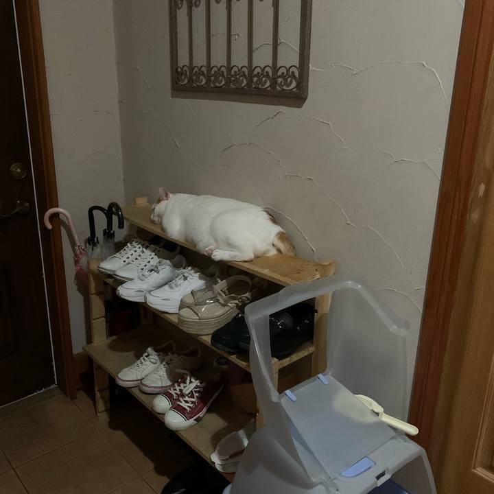 F03ac4d6 2bca 4ab9 a941 ef2d250ab75d 1617721777194