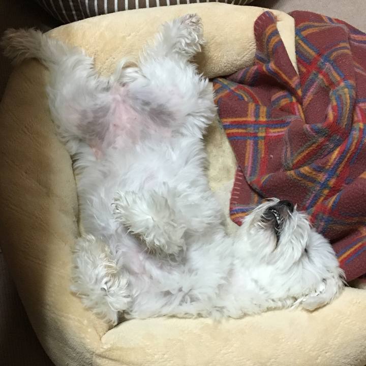 F03accad fca5 4d3b 8cd2 82dda52ff28b 1557499459736