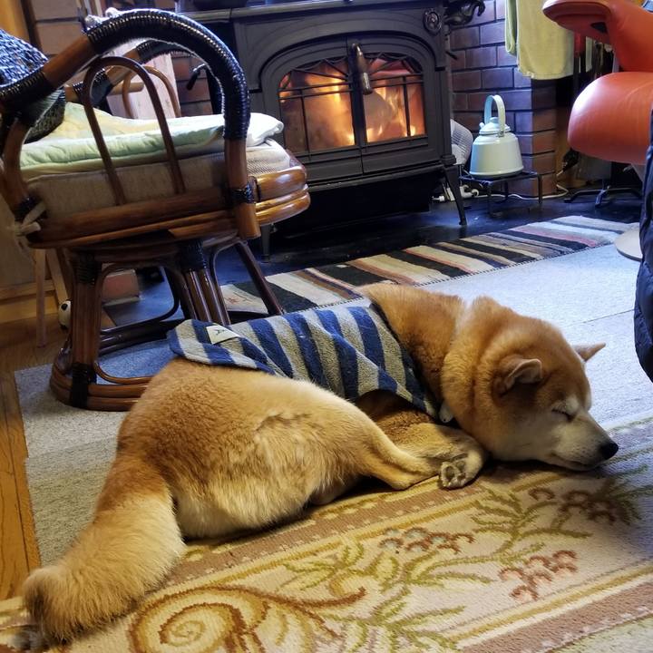 F03ace24 e84f 4bb6 9bc3 97ca1a8ce8b3 1576711956114