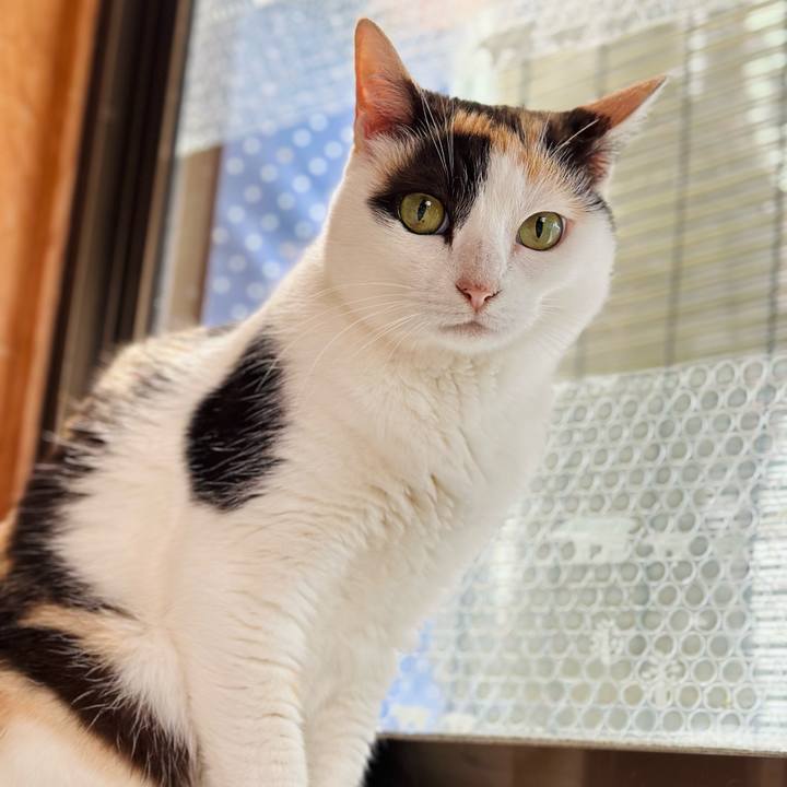 F03ad772 69ae 40b8 af5f e78ddac59854 1719449965672