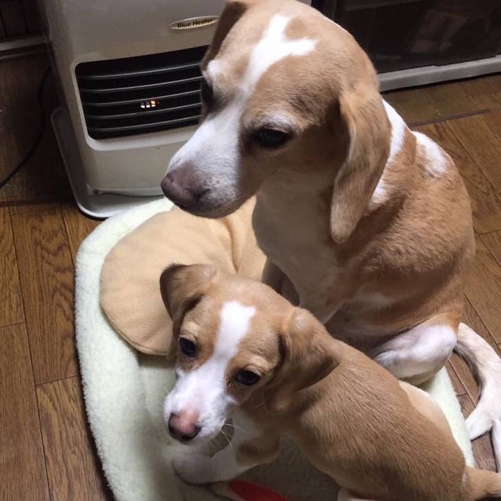 F03aebed 142a 40e5 8a72 254c3844e727 1520000692347