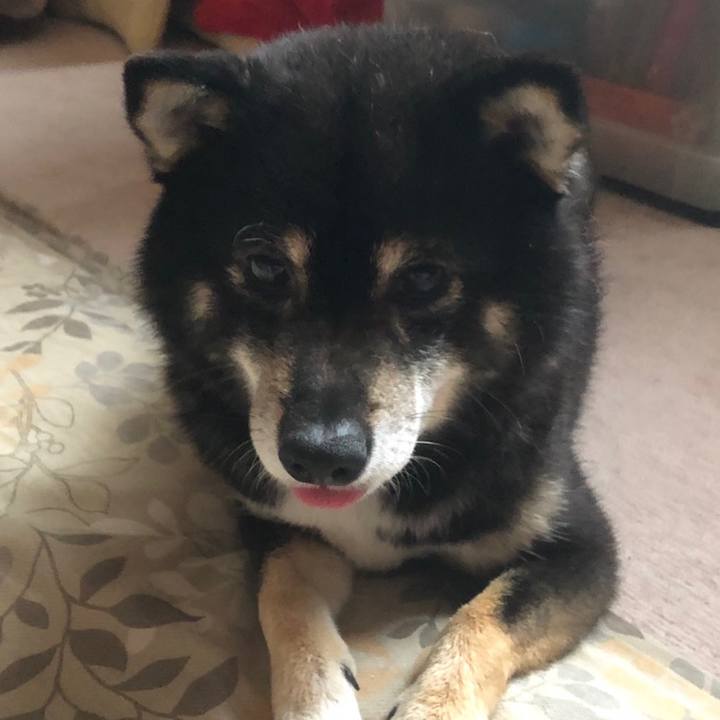 F03aefba bd30 4787 892f f7e3643e9414 1559295281428