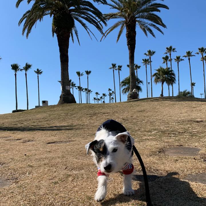 F03af5c4 8fd1 4d8d bf2f 2799dd777c10 1676082049134