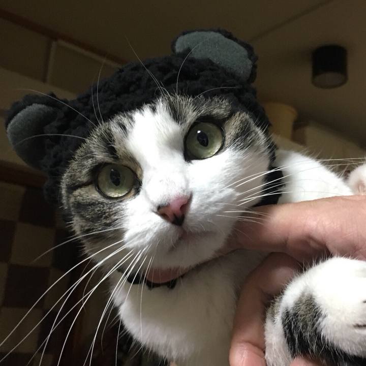 F03af921 ab7b 4cc2 9ba1 1c7fff6a5519 1514968451268