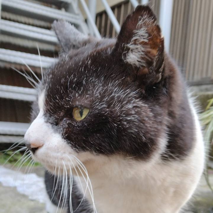 F03b0571 b006 4899 8f99 91d8c788dc38 1707637122909