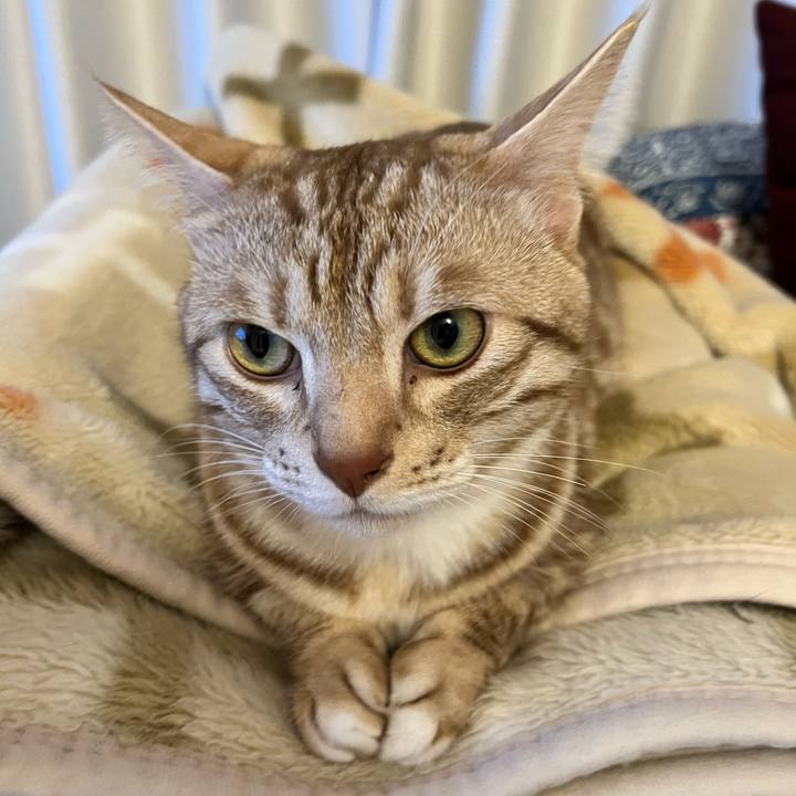 F03b1000 0962 4a66 b780 823067c071cb 1685101969536