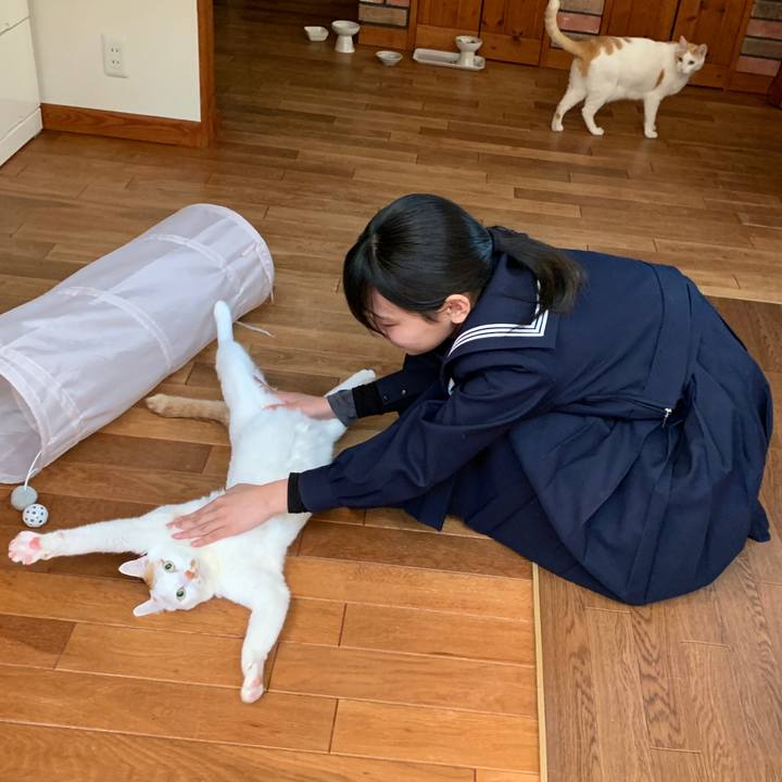 F03b3c4e b3c4 4707 a859 3561e0492c1d 1646867251268