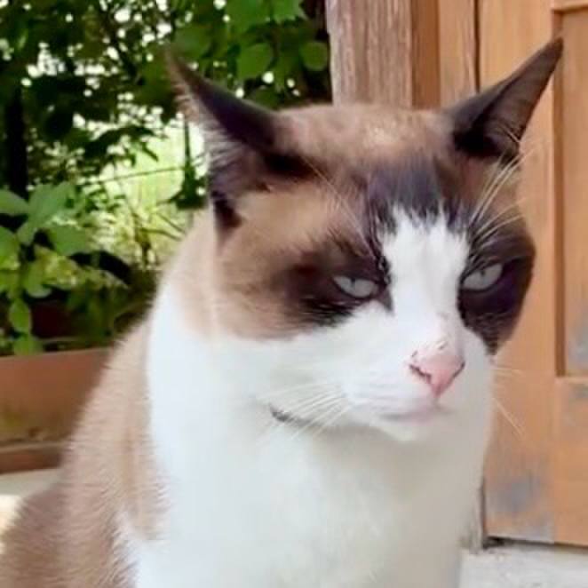 F03b6748 8407 46bf 966e 68d373b7812a 1750386323234