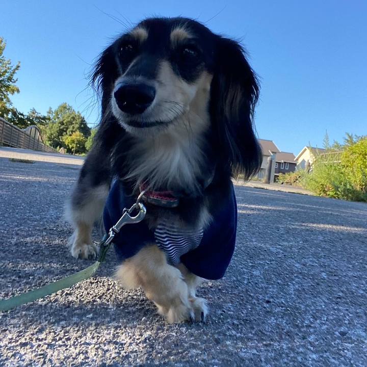 F03b87cc 6f4d 4d84 953e 14b452f24970 1756783877726