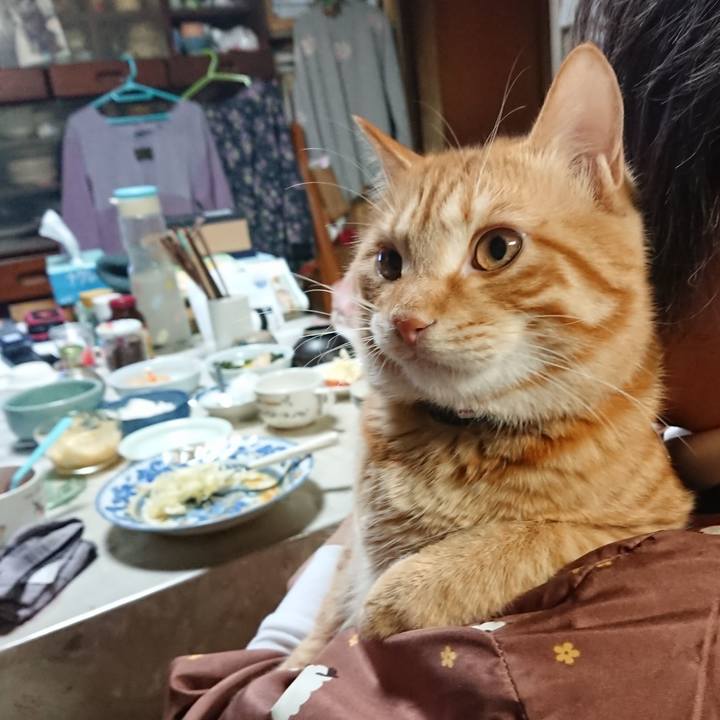 F03b9429 0e1d 4ea0 9aff 01348b260dc4 1644926480998