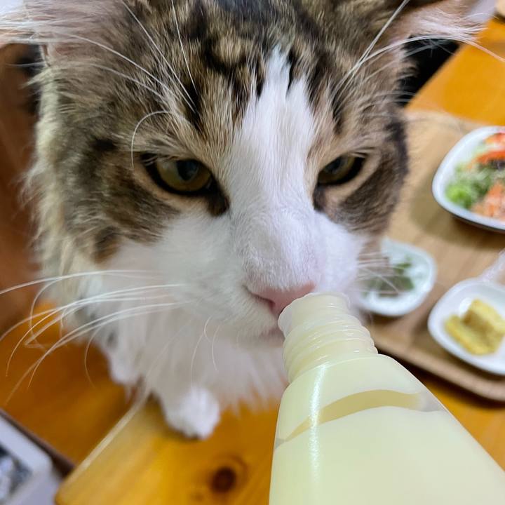 F03bb0b8 9cd4 4f75 bf0b 00213662de80 1648808907284