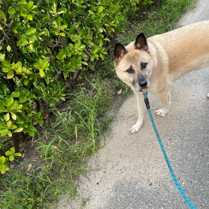 F03c1b87 9a2a 442a 9e16 036d88173c57 1692966570997