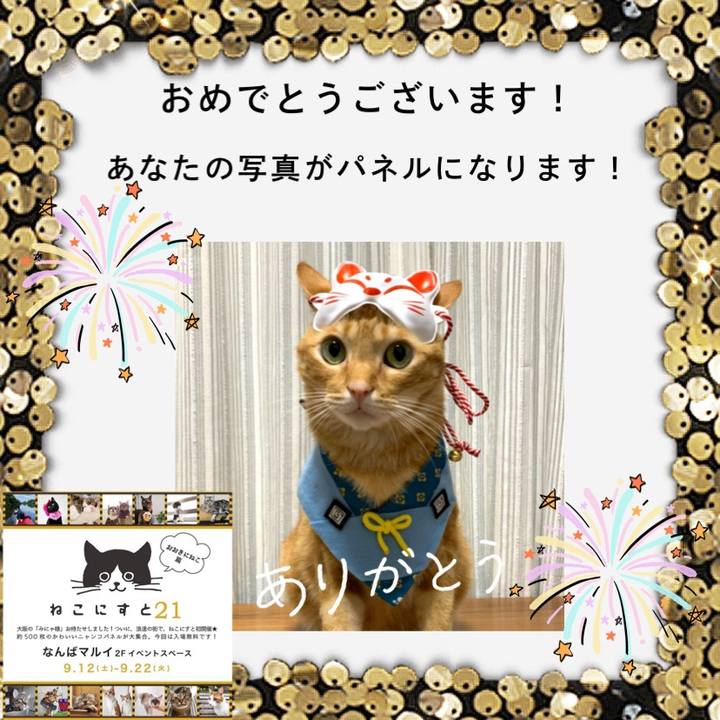 F03c31e8 e733 4c14 a581 58de197371e4 1598929585725