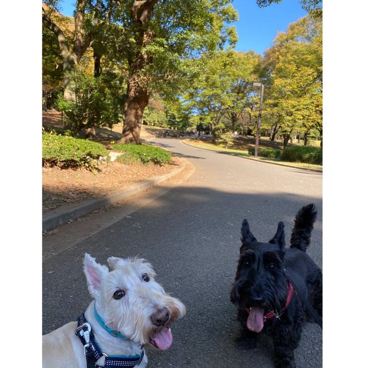 F03c4b96 387a 4f01 a380 2839018453a7 1604646906816