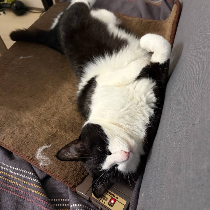 F03c5e46 6166 41e9 b324 3e1981f7c6d0 1768702079014