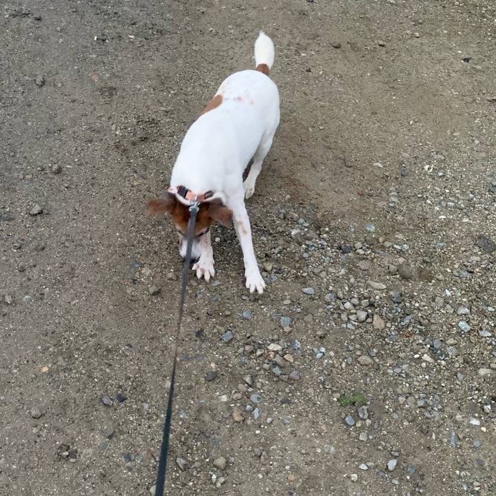 F03c83d6 0512 41a8 bf41 c5d986e08b7d 1553943055862