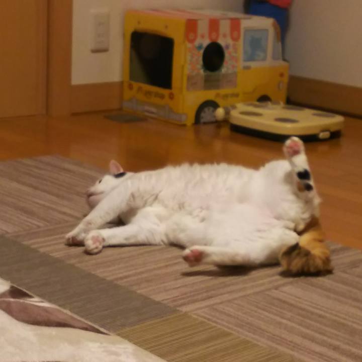 F03c8d9d a495 4765 b31b 5ee254798063 1541770231729