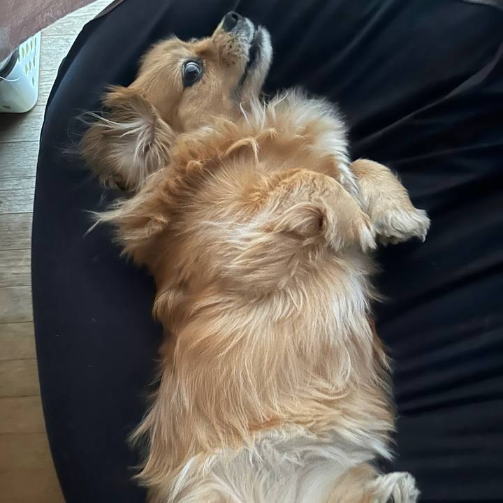 F03c9cc2 8f68 412b 8ca5 dbcb77975ed8 1712697292677