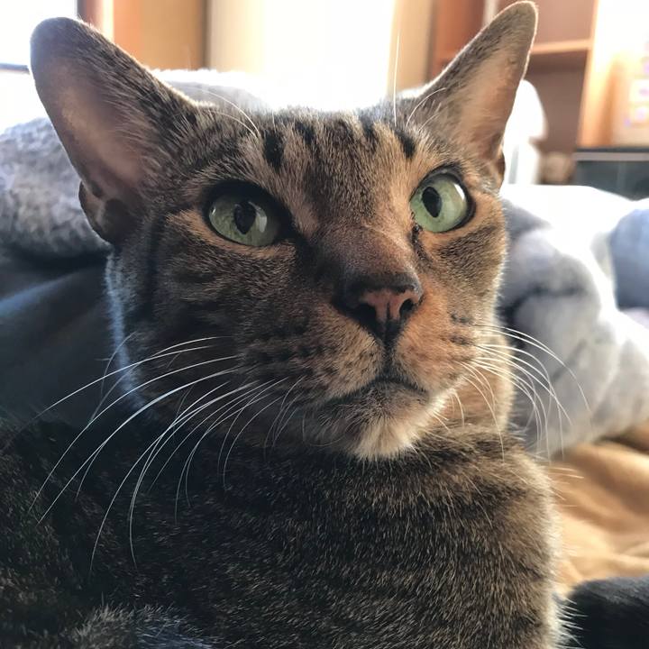 F03ca97b f6ed 4fc8 8c78 8adc8a974f09 1515109585059