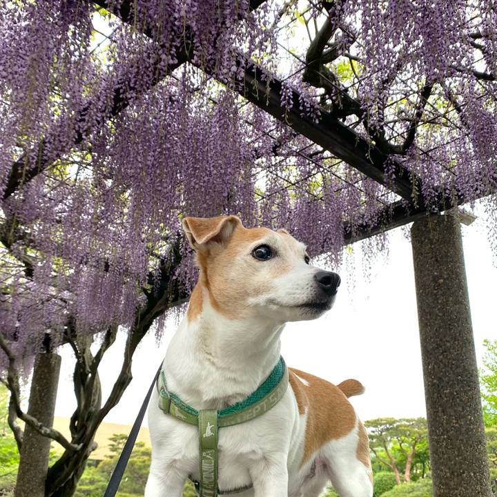 F03d1630 a3cd 442c 9e58 cf0fbf31d557 1650597397557