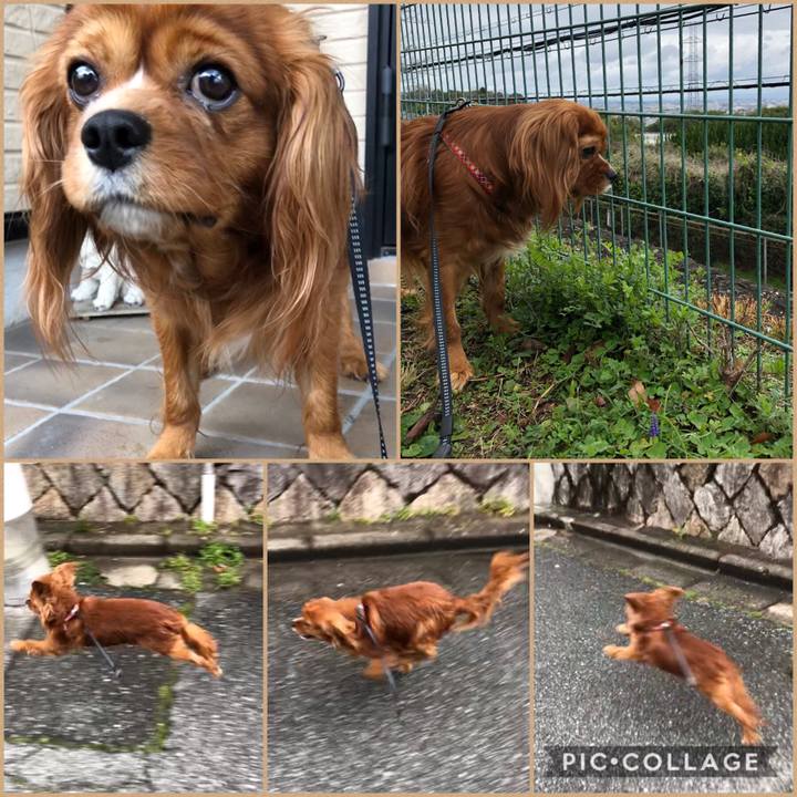 F03d17d8 6700 4bd3 8a6c bc9805a88830 1584164094261