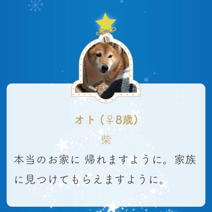 F03d2a6e 6fa0 4b0b 84c3 80f54d348f81 1544697771191