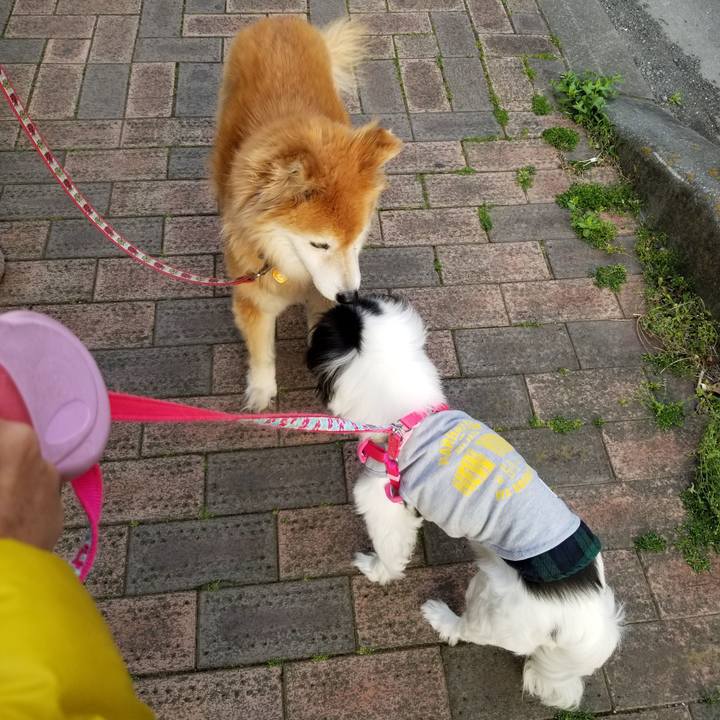 F03d5147 4b53 47ca 92c3 ef6adefe0feb 1619858597396