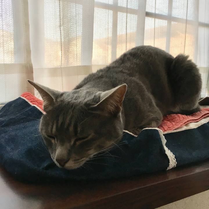 F03d6eb6 8413 4797 ba88 fa60c1bb9d74 1556787640236