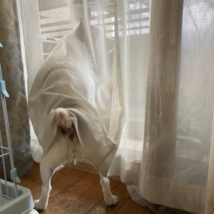 F03d99ae 3733 48eb aa39 e6dd1618879d 1691536776781