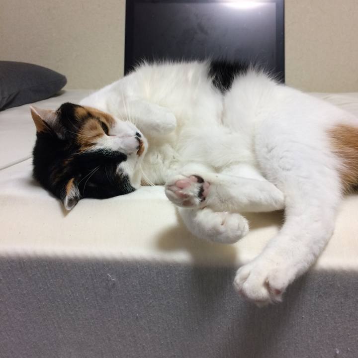 F03d9bca 1504 4725 a595 cac5d40f20d9 1576941870268