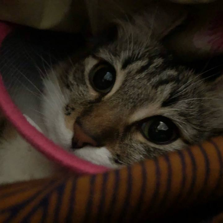 F03d9ec6 b6fe 49a5 8640 674eb3938c17 1511661043703