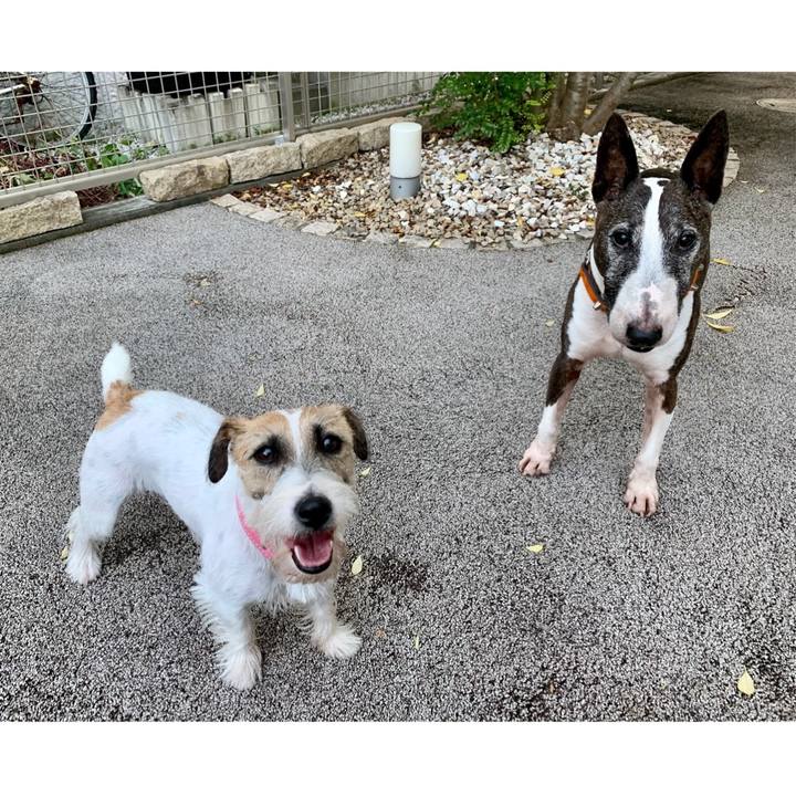 F03db208 4dbe 4c48 8ab3 31b66863e9eb 1603619310497